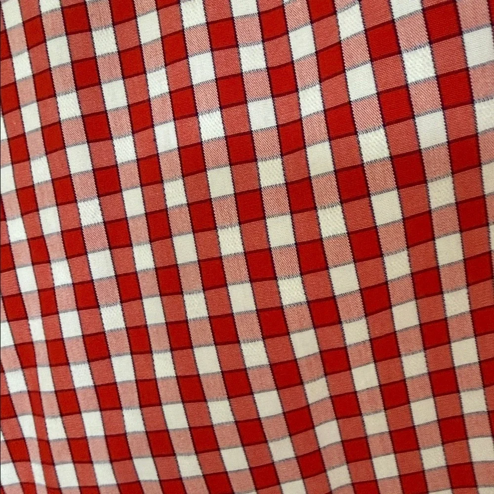 Banana Republic Red Gingham Men's Shirt